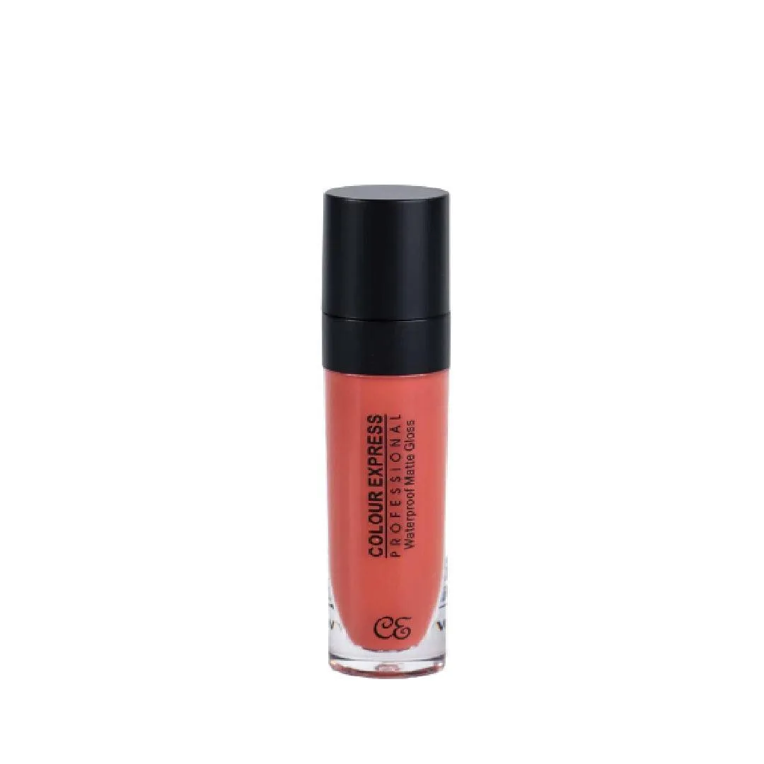 Lip Gloss 10 Color Express Lip Gloss for Shiny & Glossy Lips