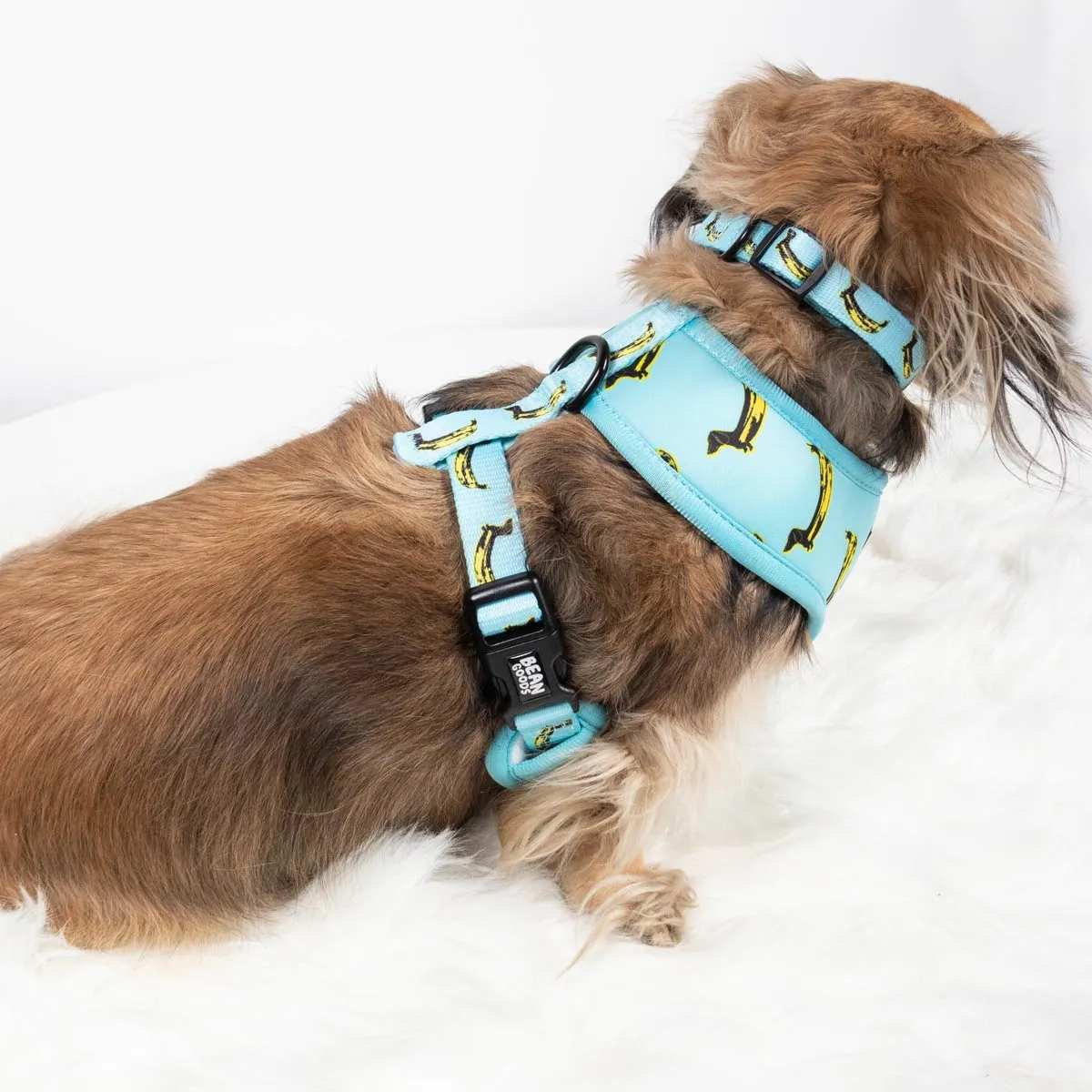 reversible harness - banana wiener