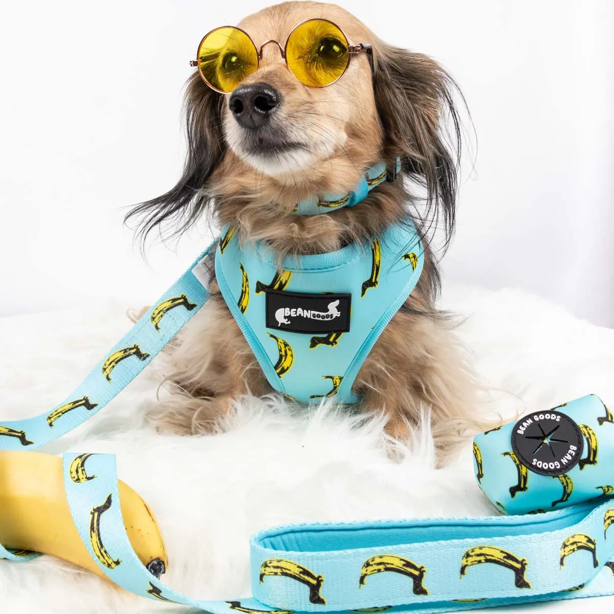 reversible harness - banana wiener