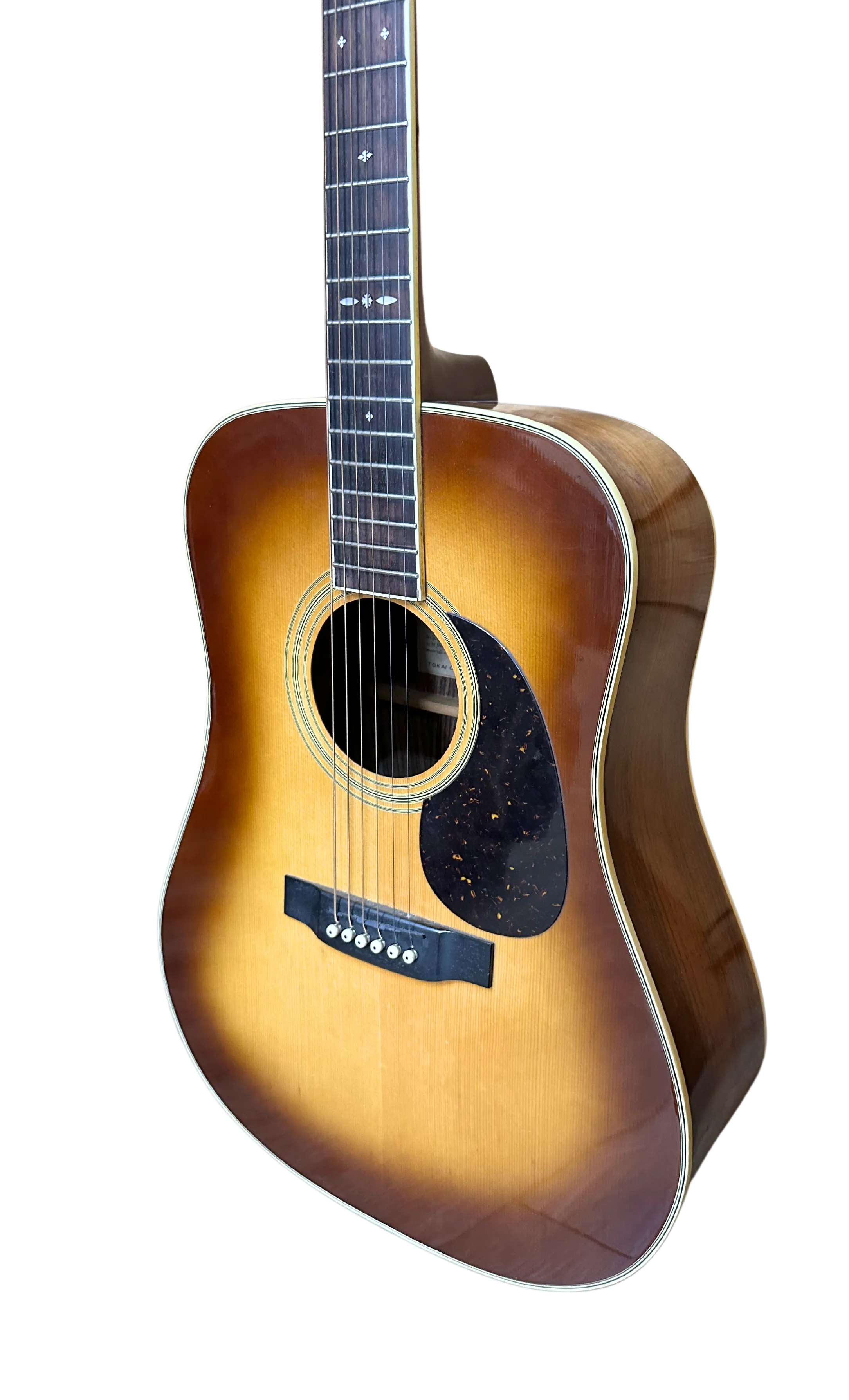 Tokai Cat's Eyes Acoustic Guitar