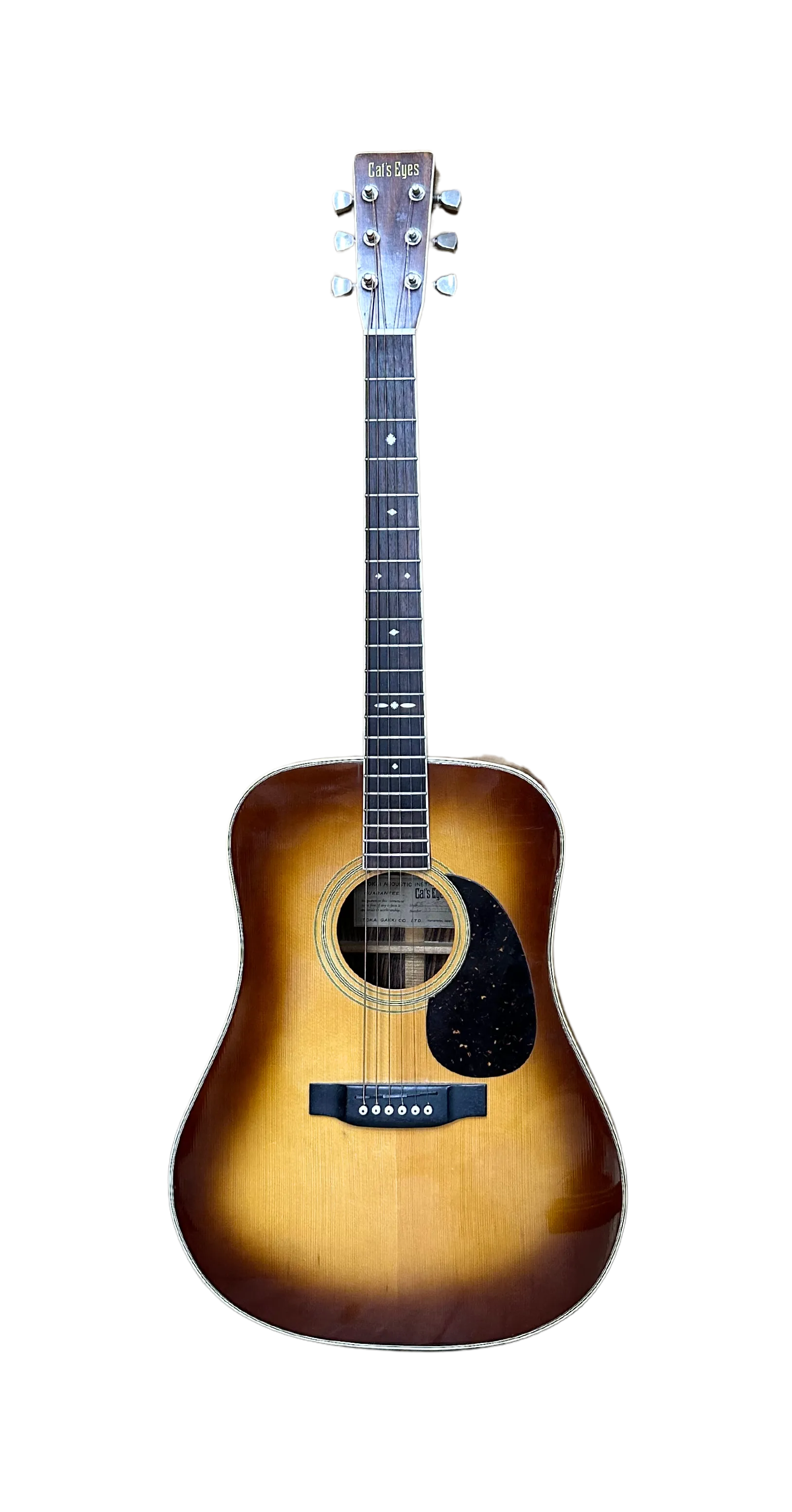 Tokai Cat's Eyes Acoustic Guitar