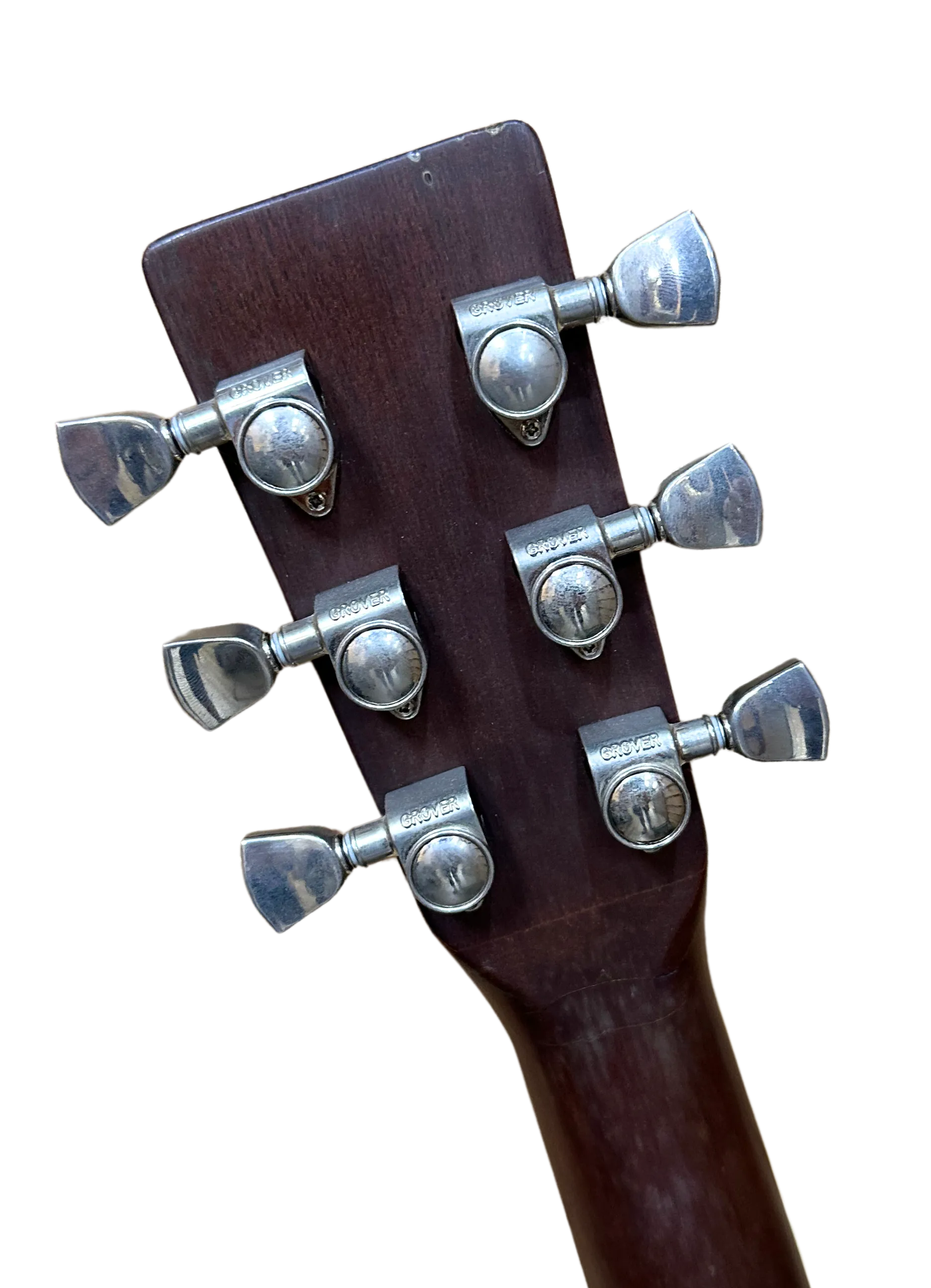 Tokai Cat's Eyes Acoustic Guitar