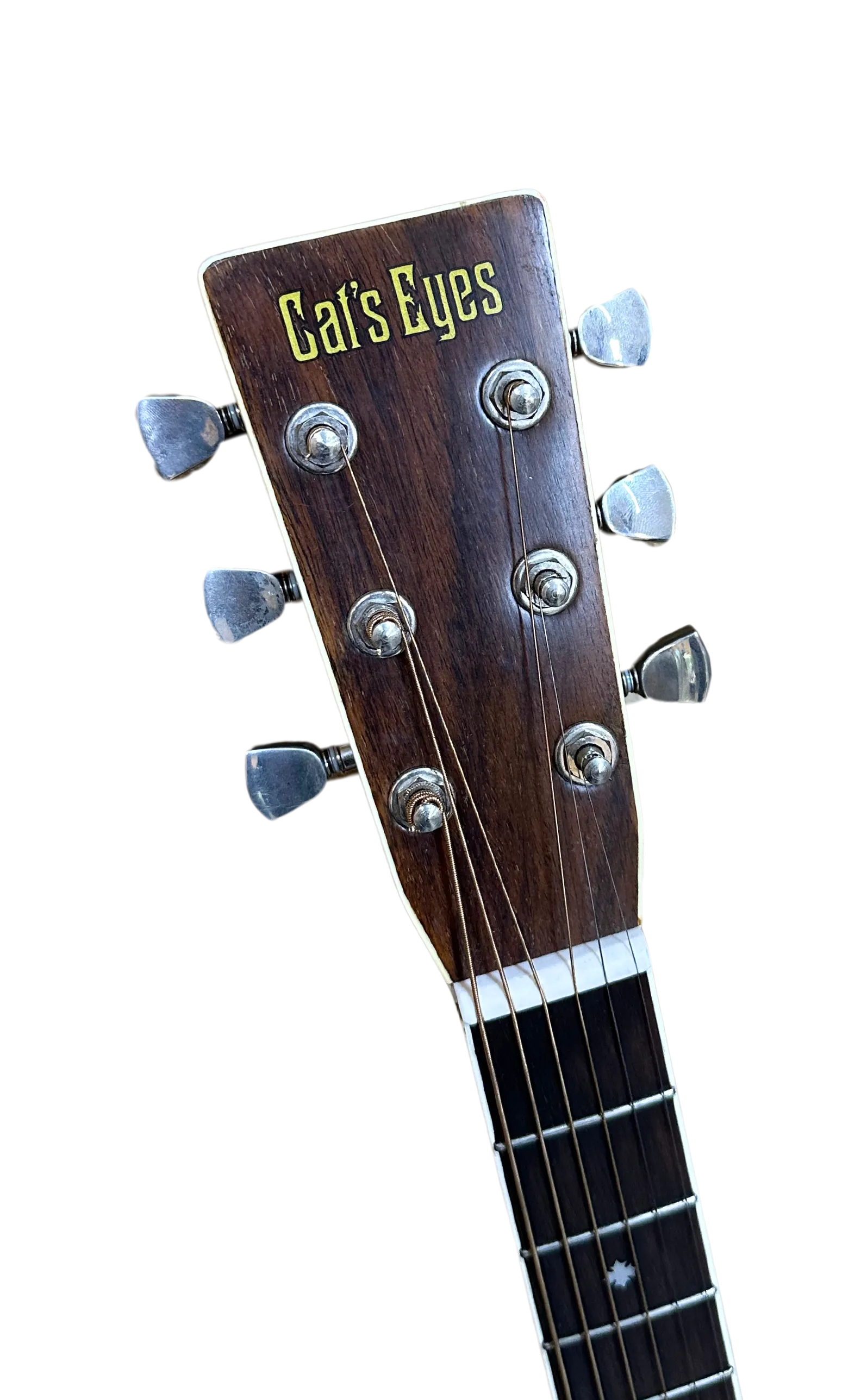 Tokai Cat's Eyes Acoustic Guitar